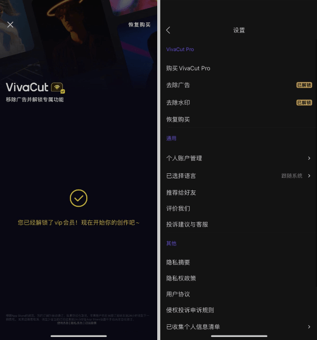 VivaCut 3.6.6 专业级剪辑软件 VIP版插图 VivaCut 3.6.6 专业级剪辑软件 VIP版插图