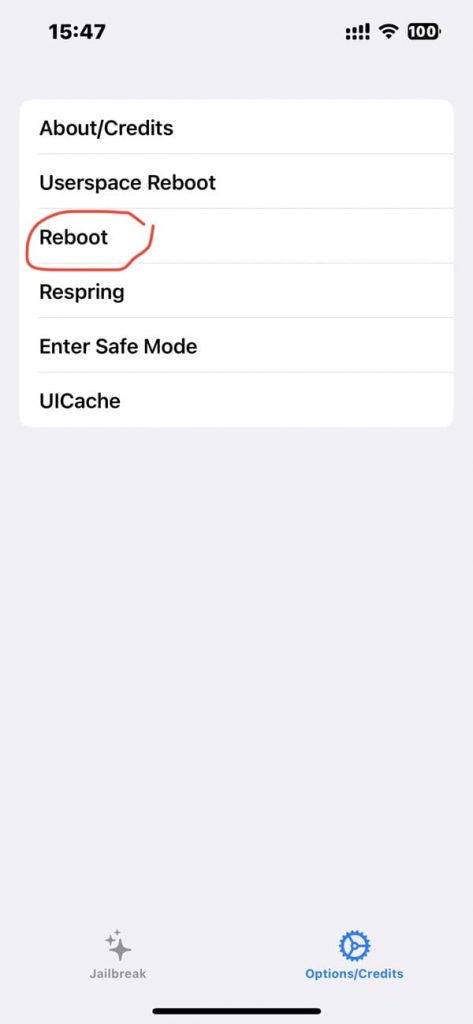 NathanLR V1.1.2汉化版 半越狱使用教程插图7 NathanLR V1.1.2汉化版 半越狱使用教程插图7
