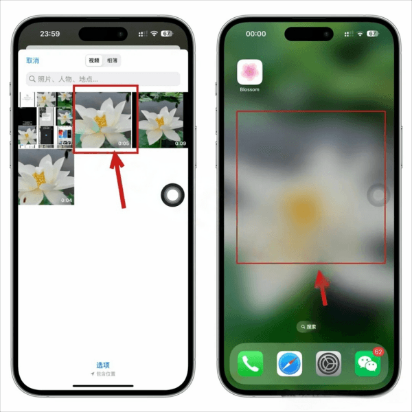 iOS设置动态视频桌面壁纸:Blossom插图2 iOS设置动态视频桌面壁纸:Blossom插图2