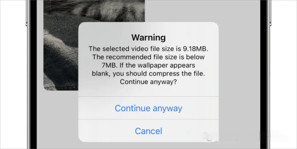 iOS设置动态视频桌面壁纸:Blossom插图5 iOS设置动态视频桌面壁纸:Blossom插图5