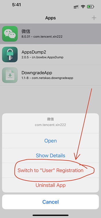 苹果巨魔微信 麦克风与CallKit不成功插图