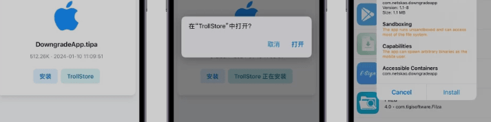 巨魔商店(TrollStore)安装IPA软件教程插图2 巨魔商店(TrollStore)安装IPA软件教程插图2