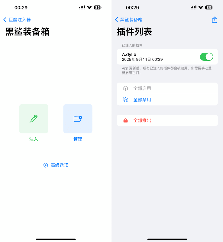 TrollFools 4.0-212 巨魔注入器插图